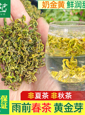 奶金黄色·雨前黄金芽手工茶，鲜嫩浓香250g