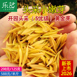乐茁海拔800米【精品头采5优黄金芽】2026年新茶明前安吉黄金白茶
