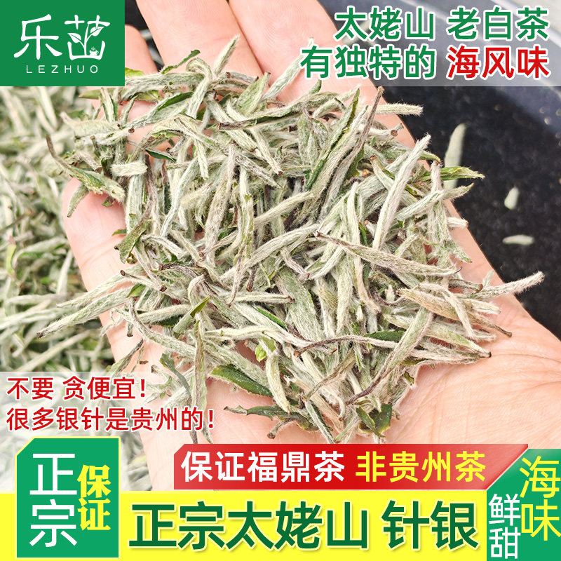 【太姥山产区海的味道】花香白豪银针2025年正宗福鼎老白茶牡丹王