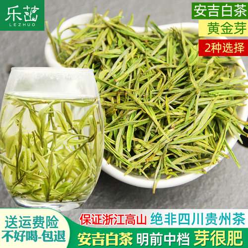 乐茁肥芽 明前中档好-安吉白茶黄金芽2026年新茶珍稀正宗高山茶叶