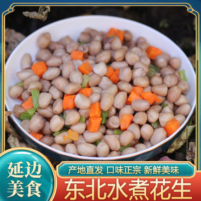 东北特色朝鲜族风味美食延边卤香味花生盐煮花生拌花生下酒菜凉菜