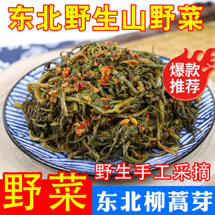东北柳蒿芽辣拌柳蒿芽咸菜泡菜朝鲜族泡菜咸菜拌柳蒿芽柳蒿芽山菜