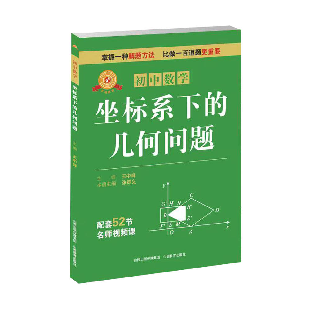 正版  专项突破·坐标系下的几何问题  王中峰 主编 山西教育出版社出版