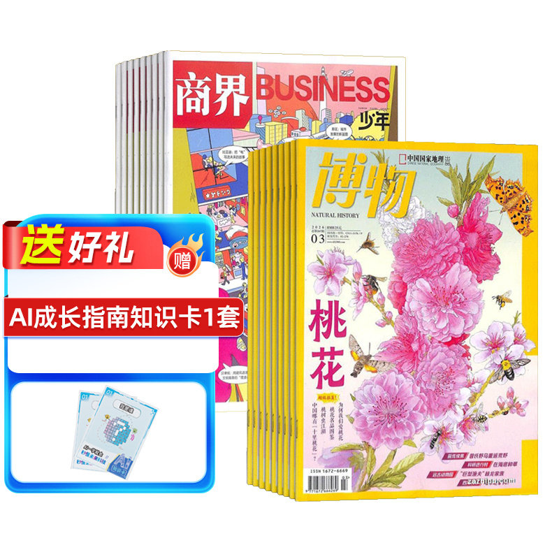 商界少年（1年共12期）+博物（1年共12期）杂志组合 2026年1月起订 杂志铺 中小学生课外阅读自然科普百科 少年财商启蒙期刊杂志