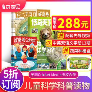 23年1 Media版 权杂志铺青少年科学科普阳光少年报单期 美国Cricket 3月现货 12月订期规格内选择 好奇号杂志订阅2024 送好礼