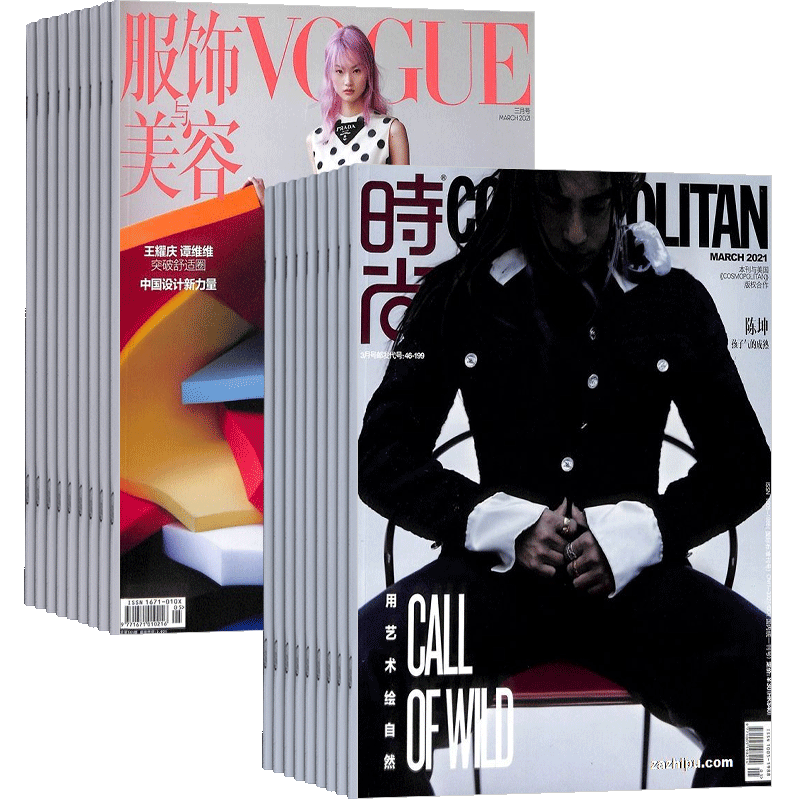 Vogue服饰与美容+时尚伊人杂志
