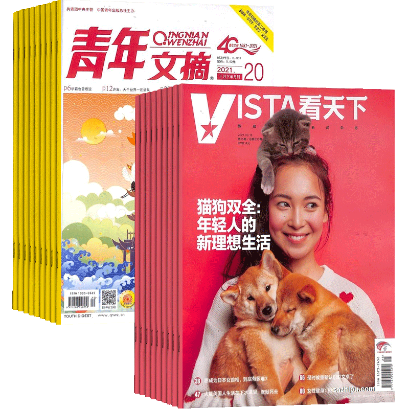 青年文摘+看天下杂志组合