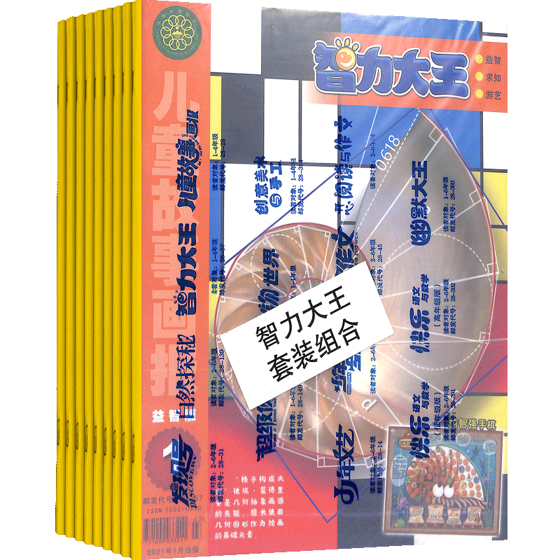 智力大王套装组合杂志