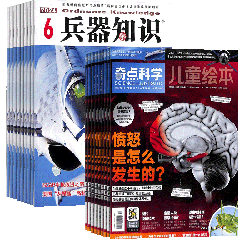 奇点科学+兵器知识杂志订阅