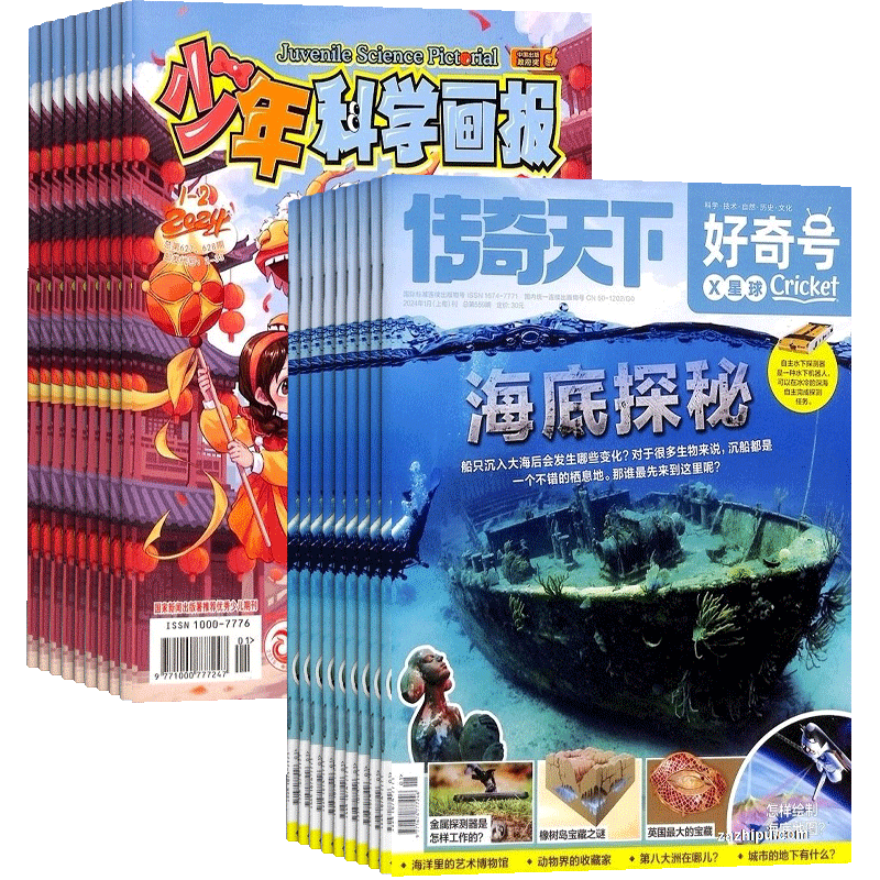 好奇号+少年科学画报杂志组合  2026年7月起订全年订阅  智力开发 合作 科学历史文化少儿阅读期刊杂志铺