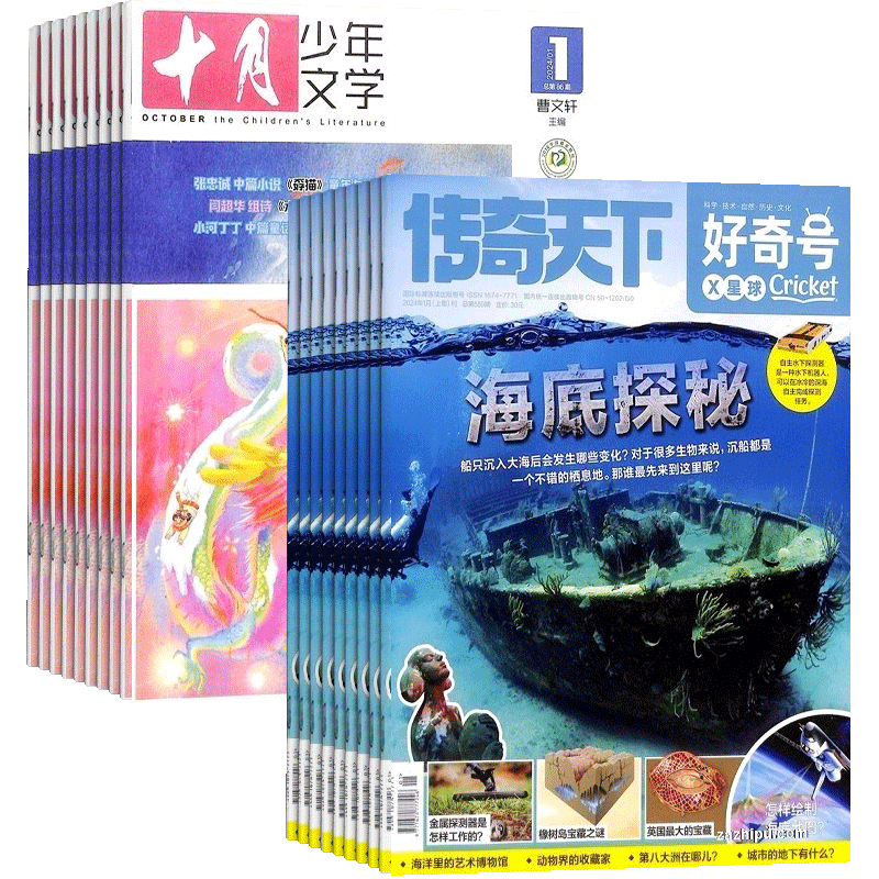 包邮 好奇号+十月少年文学杂志 2026年1月起订1年共24期全年订阅 6-12岁小学生高品质阅读自然科普书籍 杂志铺