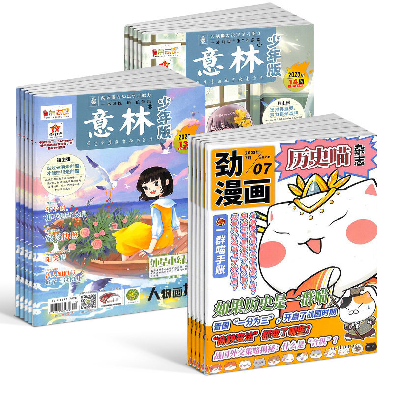 包邮 历史喵+意林少年版杂志组合 2024年一月起订 全年订阅 7-12岁中小学生励志作文素材积累课外阅读语文学习辅导 杂志铺怎么样,好用不?