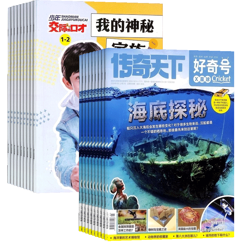 好奇号+少年交际与口才杂志组合