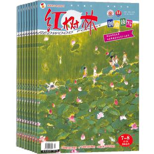 包邮 红树林创意读写原红树林都市少儿杂志 2026年1月起订 1年共12期 杂志铺杂志订阅 少儿阅读学习娱乐全面素质发展