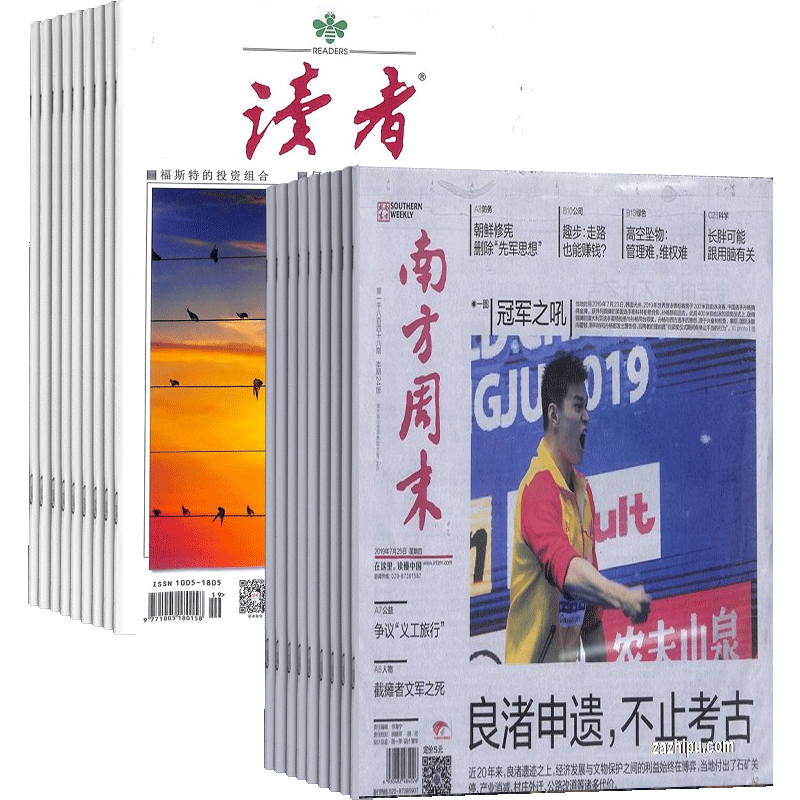 读者+南方周末杂志组合