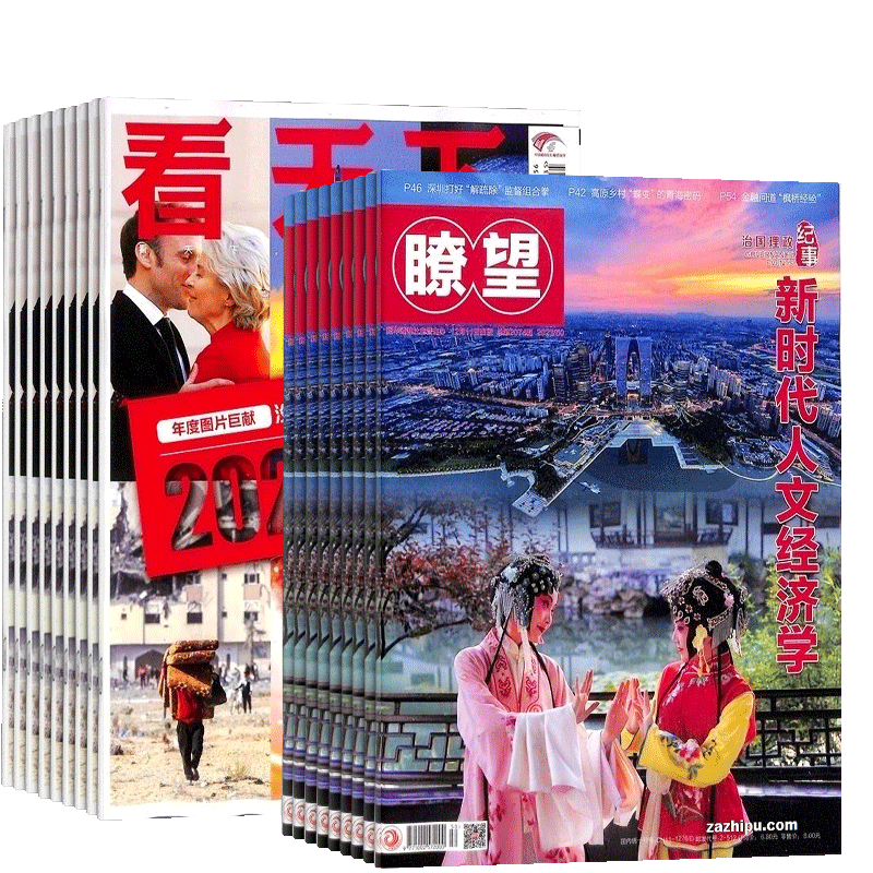 瞭望新闻周刊+vista看天下组合