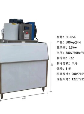 厂家直销爱思诺片冰机500公斤雪花机冰粒机