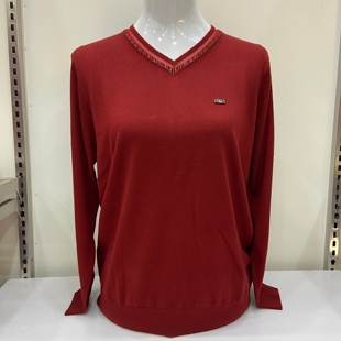 上衣 气质V领长袖 335望羽天丝莱赛尔针织打底T恤衫 女中年妈妈秋装