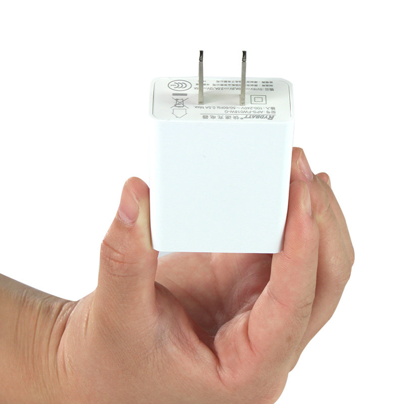 chargeur RYDBATT - Ref 1292293 Image 4