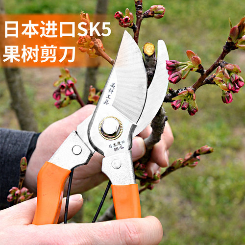 刀口锋利剪枝省力真材实料SK5