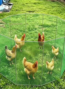 折叠便携式养殖围栏鸡舍鸭子塑料折叠式方便小鸡养鸡鸭新型移动