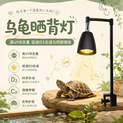 乌龟晒背灯-UVB直角晒背灯