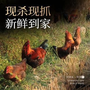 诸老大年货礼盒四时丰饶套装礼盒生鲜肉制品送礼团购批发