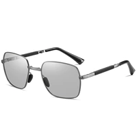 Garrier рамка смену (бесплатная почтовая почтовая коробка)