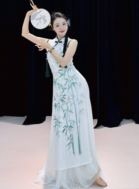 青花瓷舞蹈旗袍套装新款中国舞练功服入画江南演出服声声慢表演服