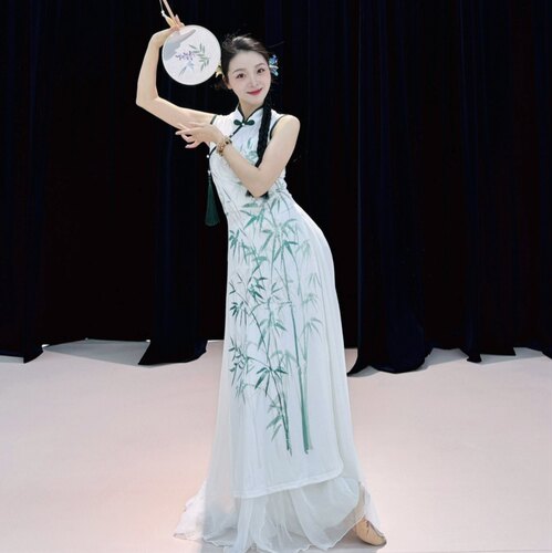 青花瓷舞蹈旗袍套装新款中国舞练功服入画江南演出服声声慢表演服