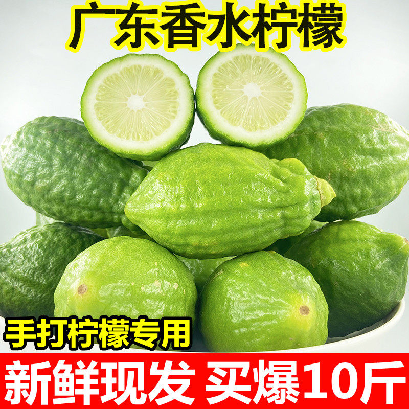 广东香水柠檬无籽新鲜一级大果香柠檬奶茶店专用5斤10斤3斤