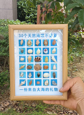0001天然海螺贝壳工艺品