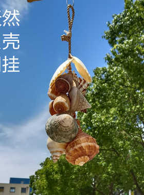 天然海螺贝壳风铃挂饰家居装饰品创意礼物海洋工艺品手摇铃网挂