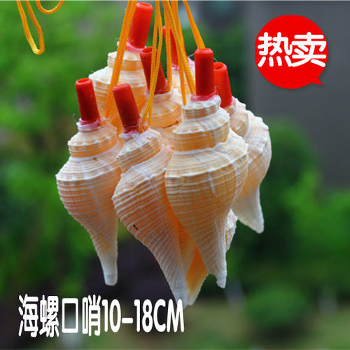 包邮天然海螺贝壳工艺品儿童玩具礼品礼物小香螺口哨吹响号螺号
