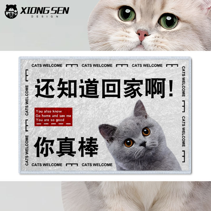 宠物猫咪搞笑趣味硅藻泥地垫