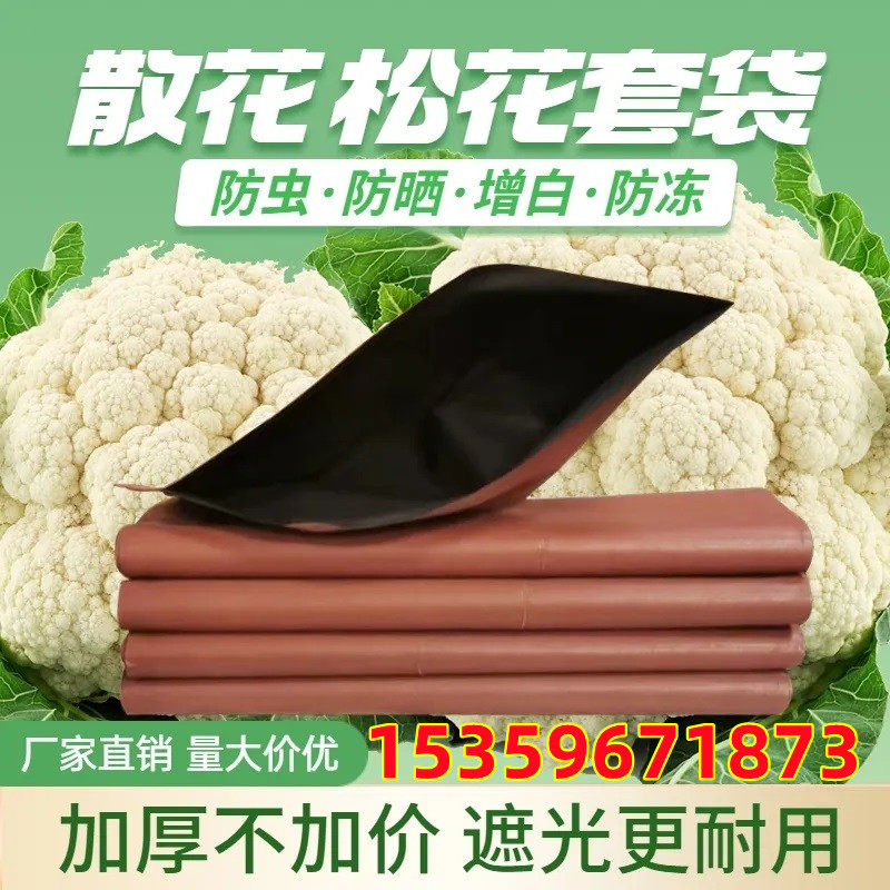 散花套袋专用双层防水防虫防晒防霜冻花菜纸袋子松花增白加厚套袋,农机/农具/农膜,水果套袋/果袋,淘宝优惠券,粉丝福利购,淘宝优惠卷