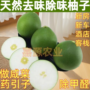 新鲜柚子新车除异味新房酒店客栈装修去味柚皮除甲醛做咸菜药引柚