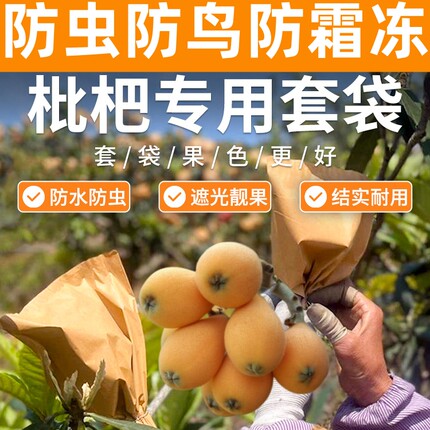 米易枇杷专用防鸟套袋五星枇杷防晒保护袋白沙枇杷增亮袋双层纸袋