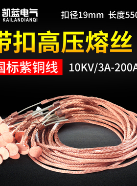 10KV带扣高压熔丝15 25 30A保险丝40 60 75 80 100A RW户外跌落式