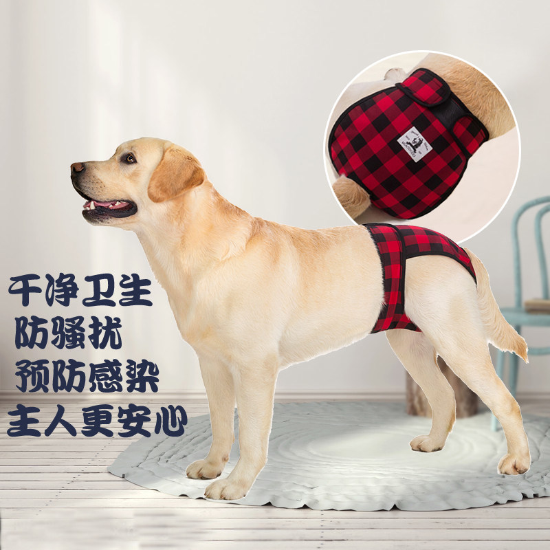 生理裤拉布拉多防骚扰中大型犬