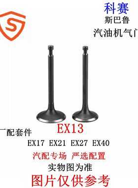 原装斯巴鲁汽油机配件EX13 EX17 EX21 EX27 EX40气门进排气门油封