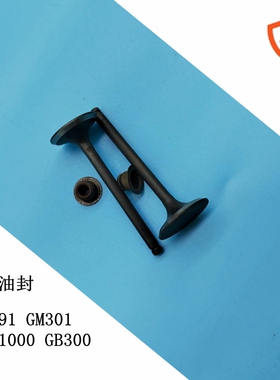 三菱汽油田园管理机配件GT1000 GM291 GM301 GB300 GB30G气门油封