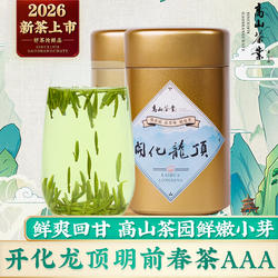 2026新茶上市高山开化龙顶春茶明前特级AAA雀舌清香芽绿茶叶250g