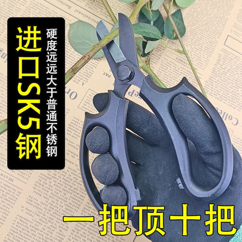 德奥超硬SK5钢花艺剪鲜花剪刀