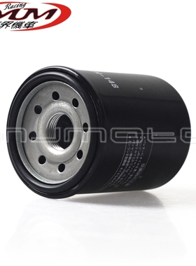 适用雅马哈FJR1300AS 1300摩托车配件机油格过滤清器机油油滤滤芯