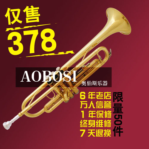 w六年老店万人信誉牌乐器降b调