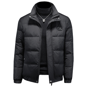 冬装男士羽绒服 90绒 W038P300,男装羽绒服,电商D302