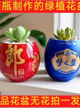 酒瓶制作绿植多肉花盆无花居家客厅办公室酒店装饰摆件花盆无底孔
