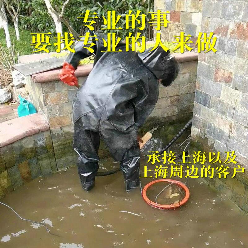 上门清洗鱼缸换水鱼池清理护理过滤器园林绿化造景养护洗鱼池差价