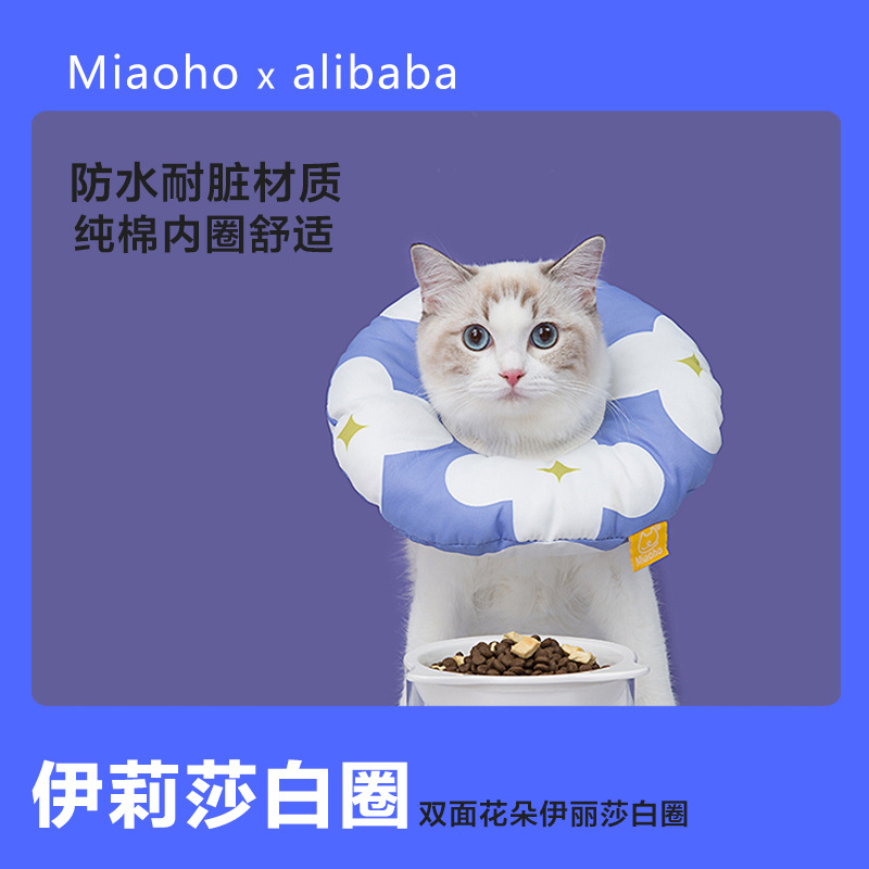 源头设计质造俱优Miaoho双面花朵伊丽莎白圈可爱catcollor宠物猫